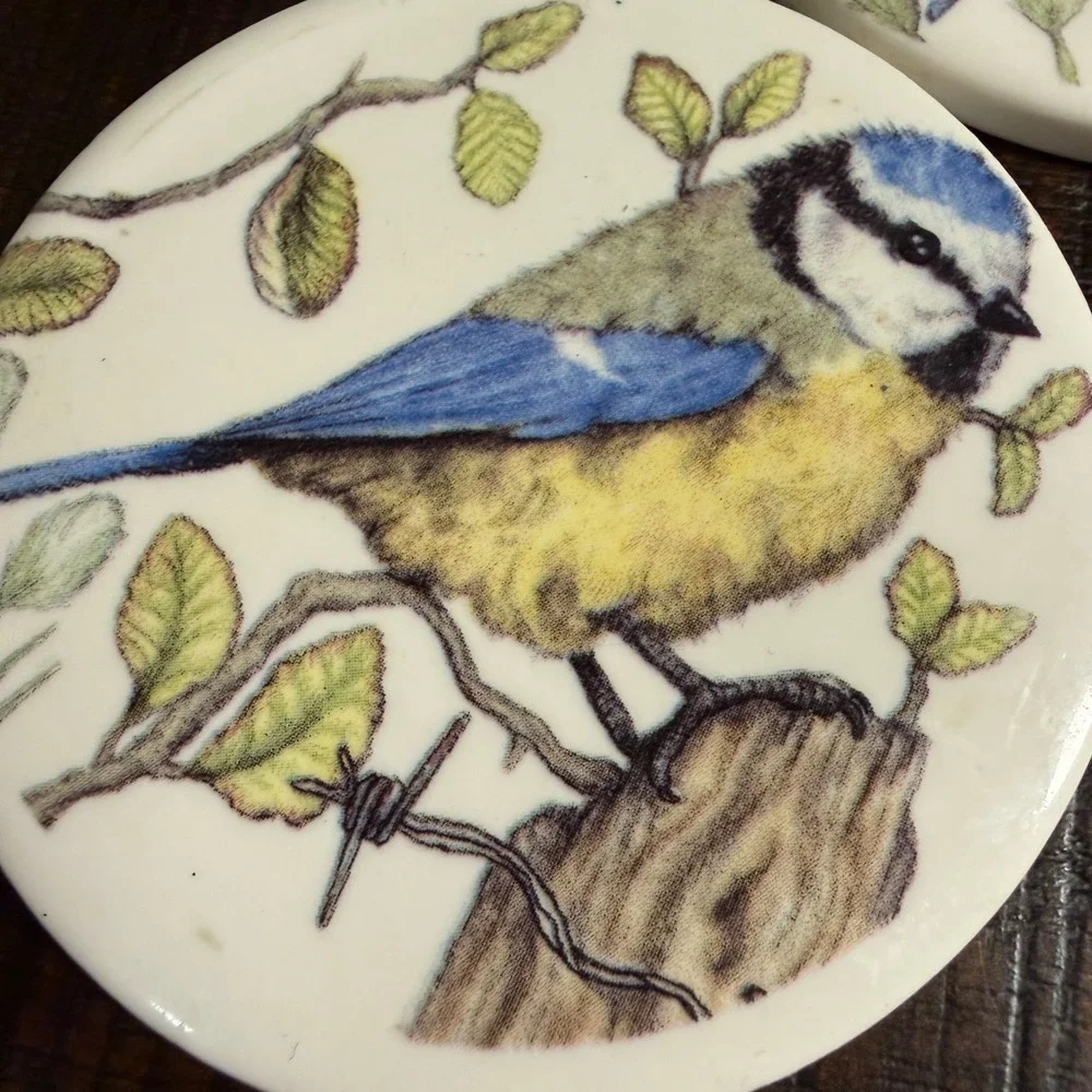 Set of 3 VTG Blue Tit Bird Ceramic Coasters Nature Illustration Decorative Discs
